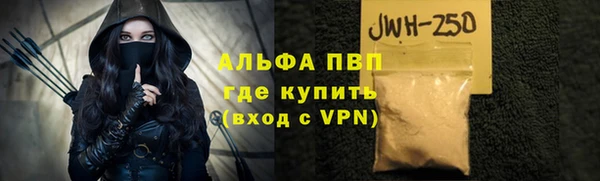 СК Белокуриха