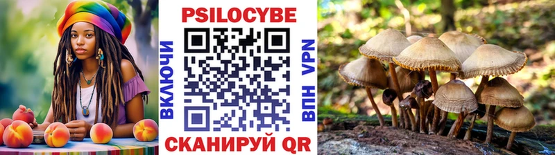 Галлюциногенные грибы прущие грибы  как найти закладки  Городец 
