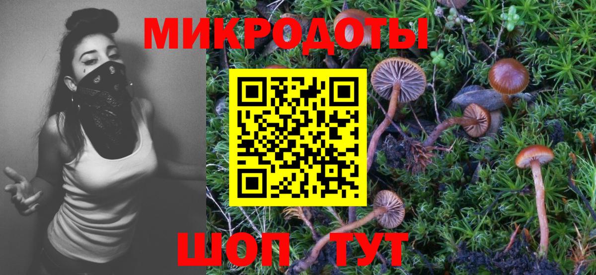 Псилоцибиновые грибы Magic Shrooms Городец