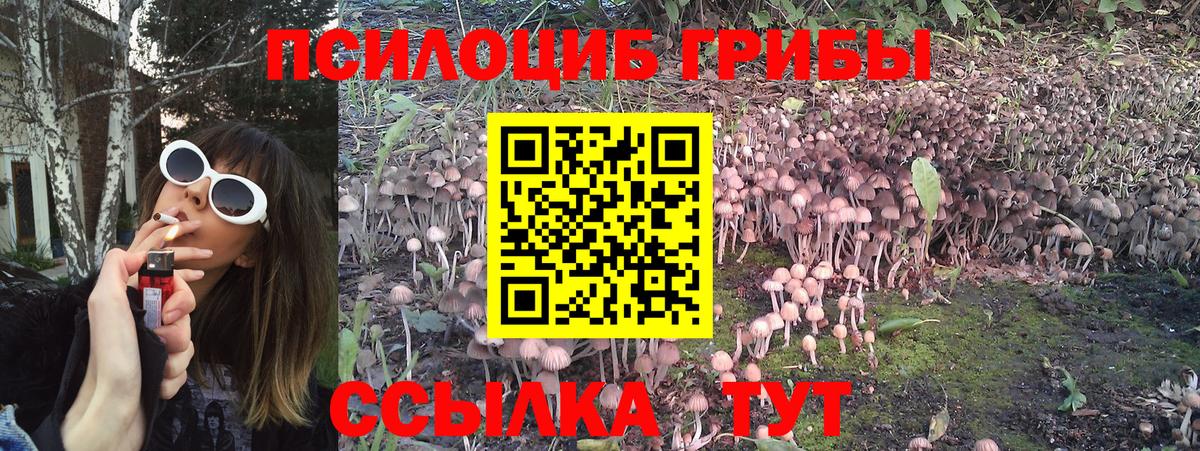 Галлюциногенные грибы Magic Shrooms  Псилоцибиновые грибы GOLDEN TEACHER  Городец  Вход с VPN 